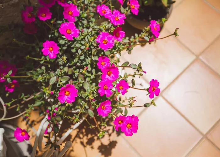 Apartamento Mito & Mare Syracuse