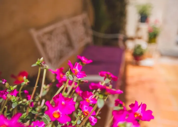 Mito & Mare Syracuse