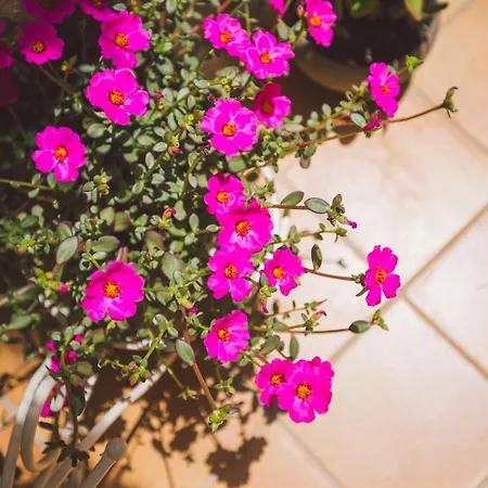 Apartament Mito & Mare Syrakuzy